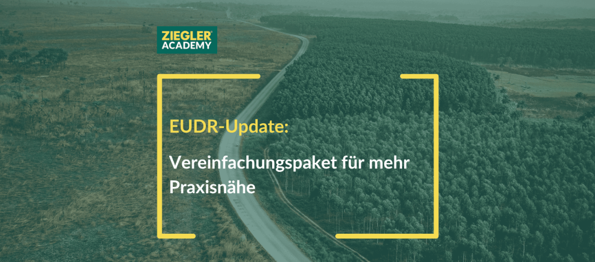EUDR-Update: Vereinfachungspaket für mehr Praxisnähe